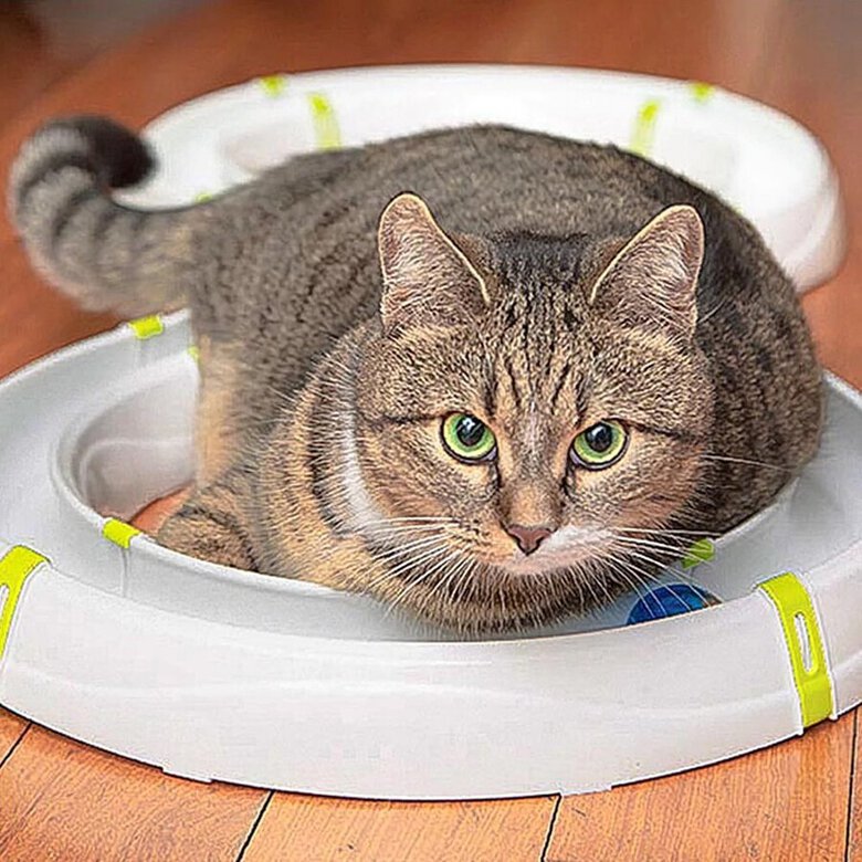 Ferplast Typhon Juguete Ineractivo con Pelota para gatos, , large image number null